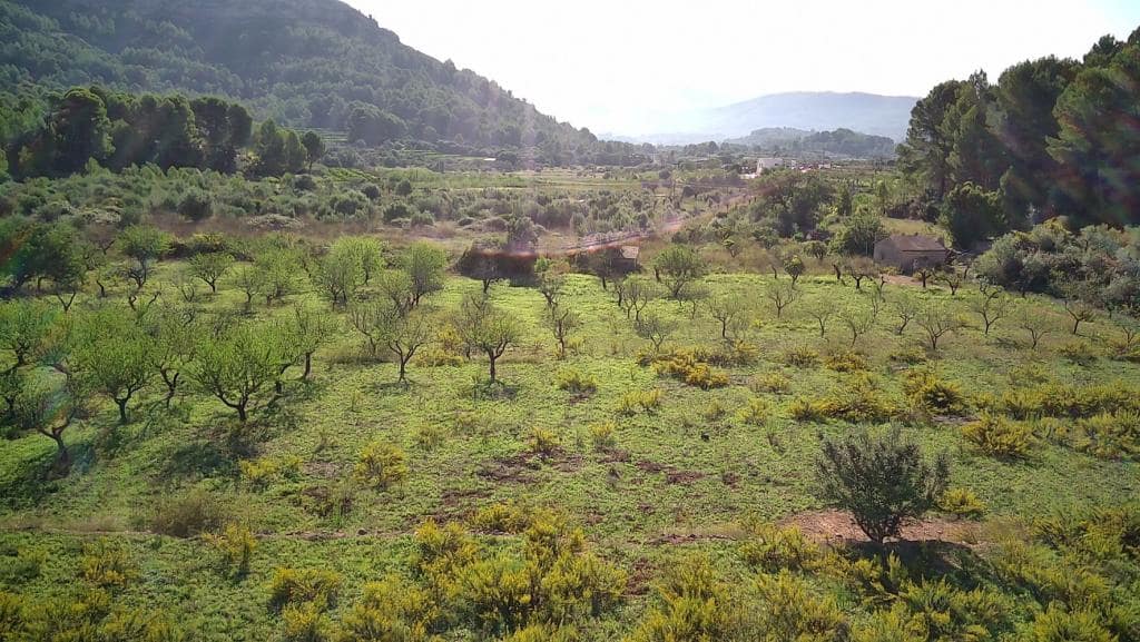 Undeveloped Land for sale in Murla - € 100,000 (Ref: 8401763)