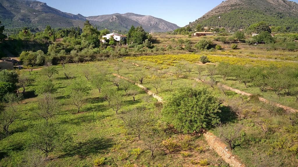 Undeveloped Land for sale in Murla - € 100,000 (Ref: 8401763)