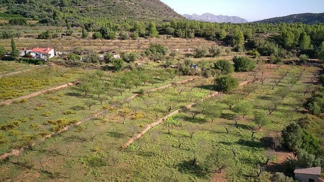 Ubebygd land til salgs i Murla - € 100 000 (Ref: 8401763)