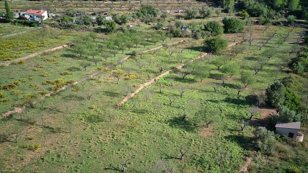 Undeveloped Land for sale in Murla - € 100,000 (Ref: 8401763)