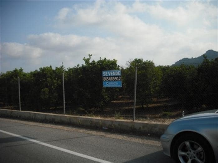 Building Plot for sale in Pedreguer - € 129,000 (Ref: 8809762)