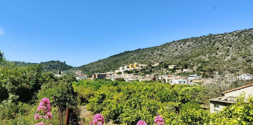 Tontti myytävänä paikassa Alcalali / Alcanali - 300 000 € (Ref: 8809763)