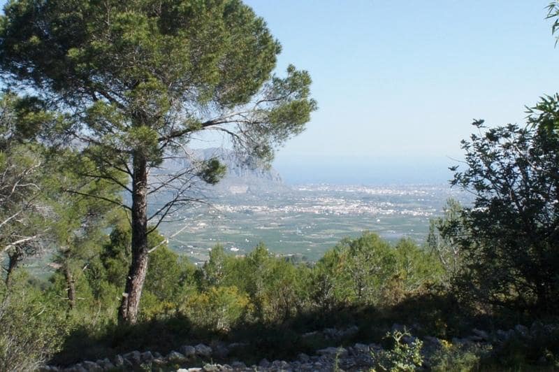 Undeveloped Land for sale in Benidoleig - € 3,000,000 (Ref: 8809765)