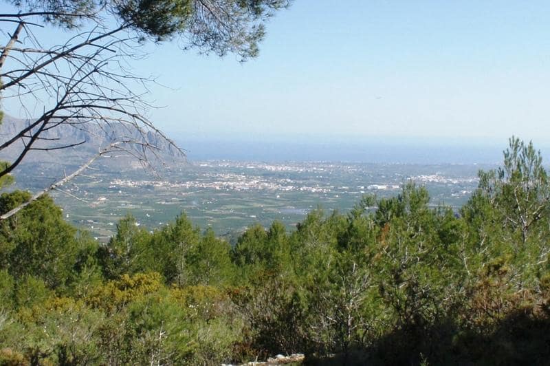 Undeveloped Land for sale in Benidoleig - € 3,000,000 (Ref: 8809765)