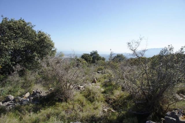 Undeveloped Land for sale in Benidoleig - € 3,000,000 (Ref: 8809765)