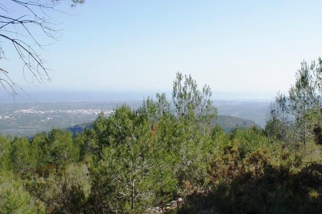 Undeveloped Land for sale in Benidoleig - € 3,000,000 (Ref: 8809765)