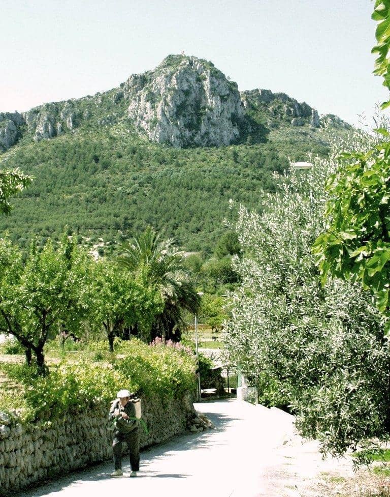 Undeveloped Land for sale in Orba - € 212,100 (Ref: 8854792)