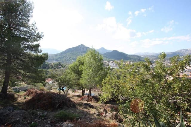 Terre non Aménagée à vendre à Orba - 75 000 € (Ref: 8862799)