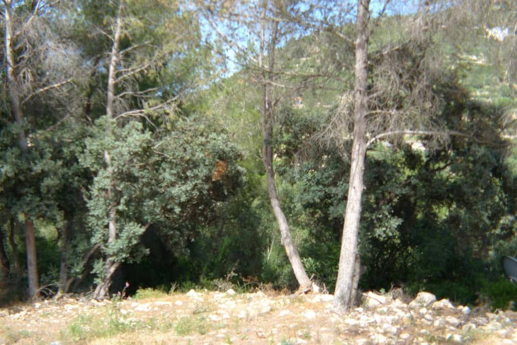Undeveloped Land for sale in Alcalali / Alcanali - € 120,000 (Ref: 8918075)