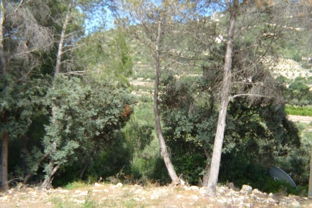 Undeveloped Land for sale in Alcalalí / Alcanalí - € 120,000 (Ref: 8918075)