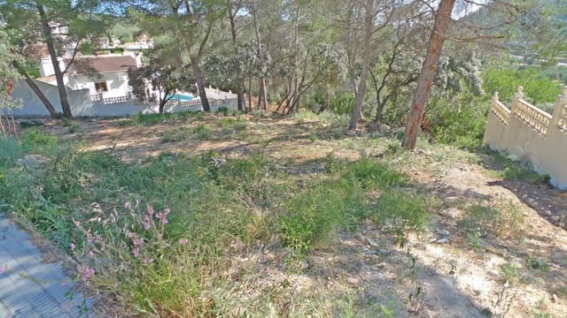 Undeveloped Land for sale in Alcalalí / Alcanalí - € 120,000 (Ref: 8918075)
