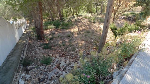 Undeveloped Land for sale in Alcalalí / Alcanalí - € 120,000 (Ref: 8918075)