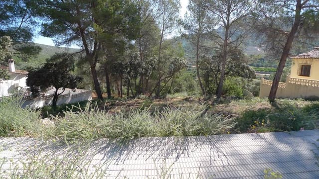 Undeveloped Land for sale in Alcalalí / Alcanalí - € 120,000 (Ref: 8918075)