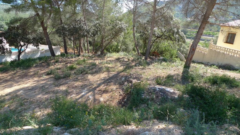 Undeveloped Land for sale in Alcalali / Alcanali - € 120,000 (Ref: 8918075)