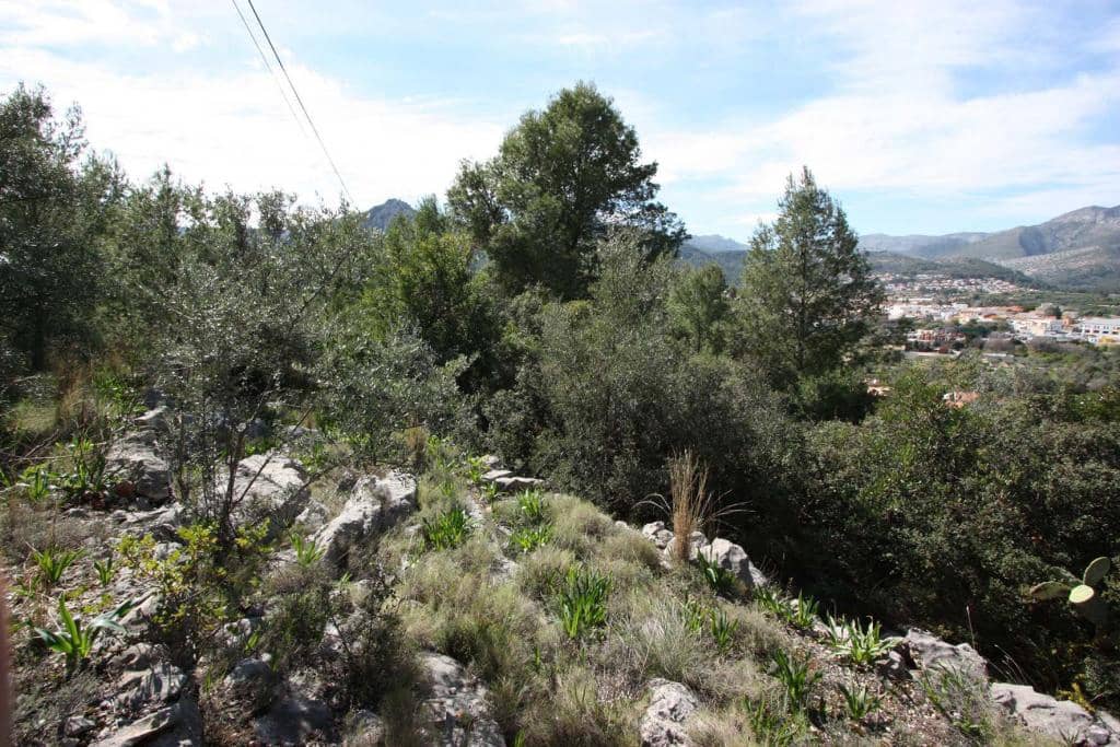 Area Edificabile in vendita in Orba - 95.000 € (Rif: 8952766)