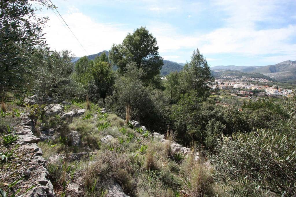 Area Edificabile in vendita in Orba - 95.000 € (Rif: 8952766)