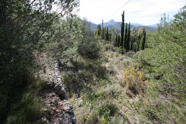 Area Edificabile in vendita in Orba - 95.000 € (Rif: 8952766)