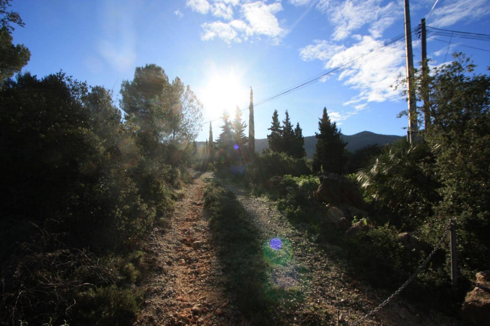 Grunde uden byggetilladelser til salg i Lliber - € 145.000 (Ref: 9034805)