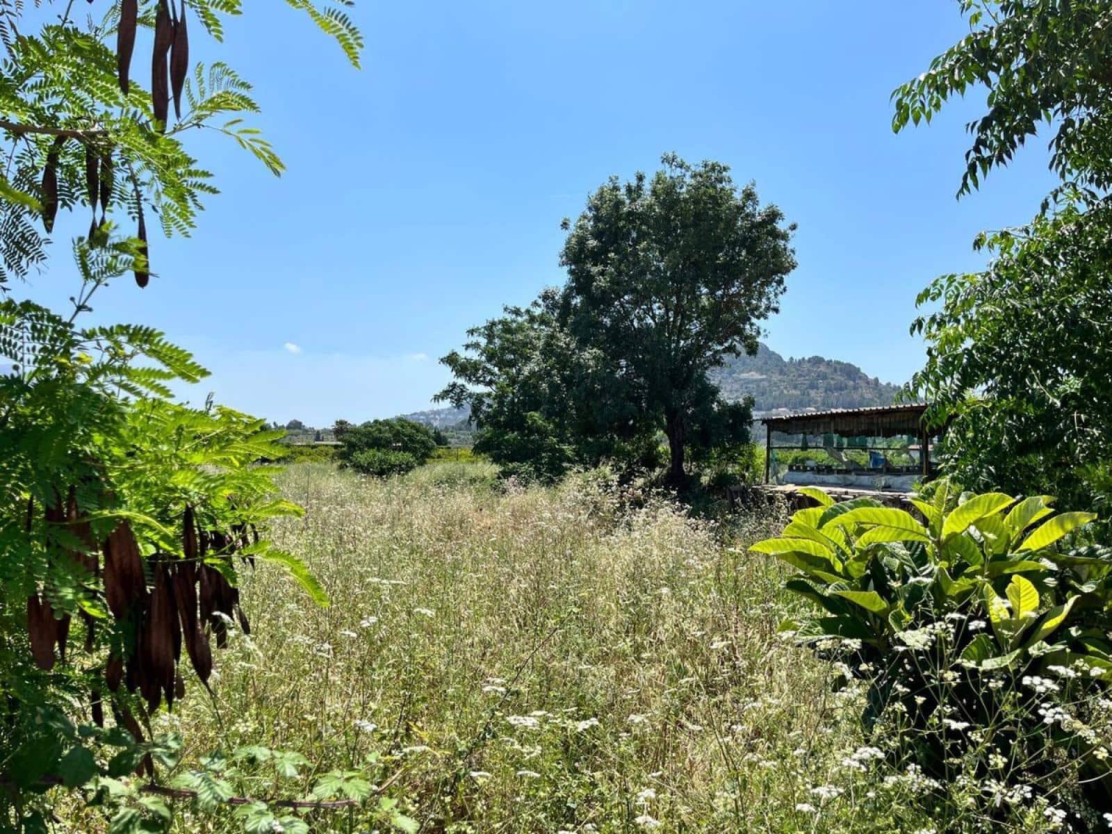 Terre non Aménagée à vendre à Ondara - 120 000 € (Ref: 9427131)