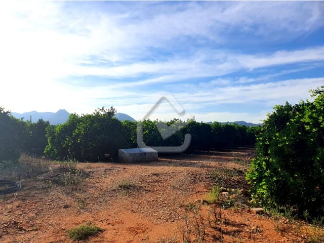 Terreno Não Urbanizado para venda em Benidoleig - 165 000 € (Ref: 9474149)