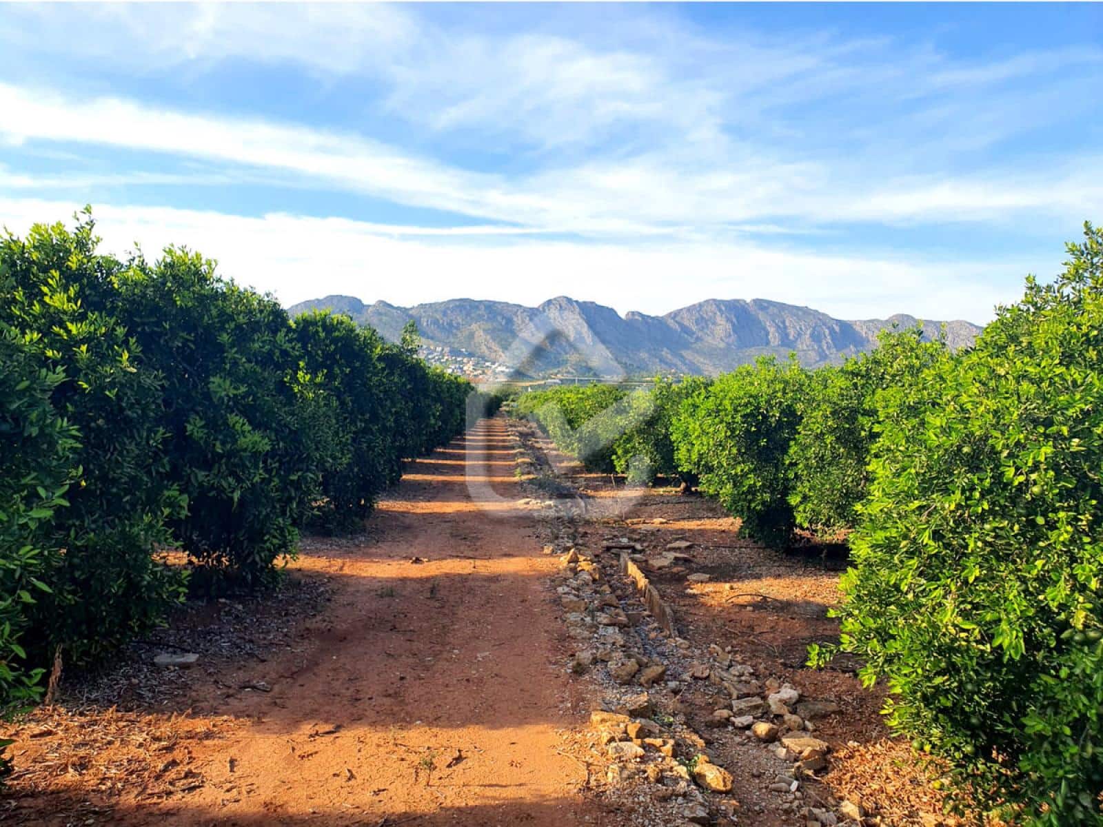 Terreno Não Urbanizado para venda em Benidoleig - 165 000 € (Ref: 9474149)