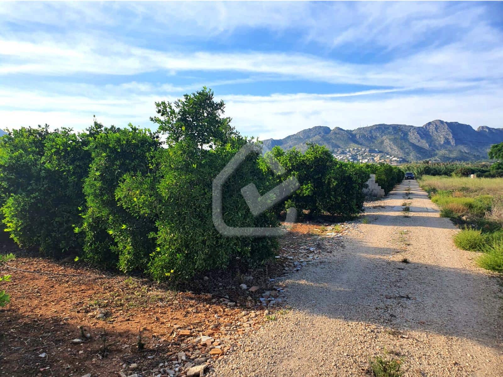 Terreno Não Urbanizado para venda em Benidoleig - 165 000 € (Ref: 9474149)