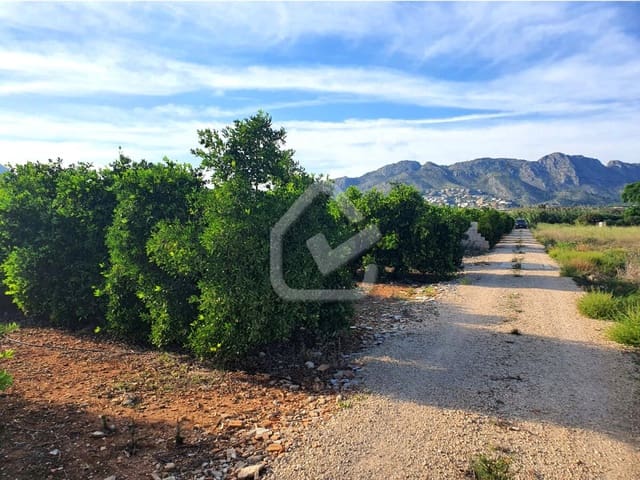 Terreno Não Urbanizado para venda em Benidoleig - 165 000 € (Ref: 9474149)