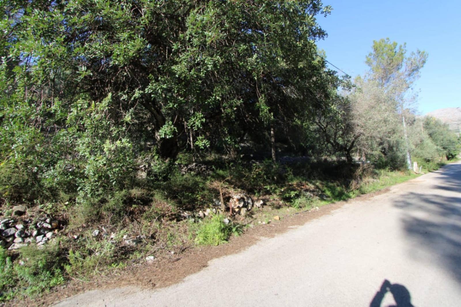 Bar/Restaurant zu verkaufen in Orba - 90.000 € (Ref: 9502210)