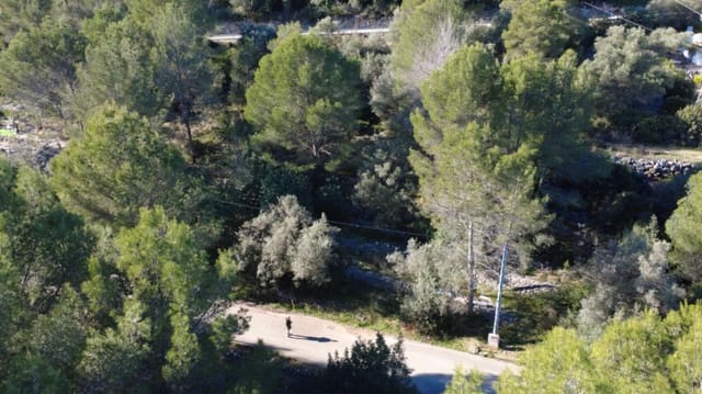 Bar/Restaurant zu verkaufen in Orba - 90.000 € (Ref: 9502210)