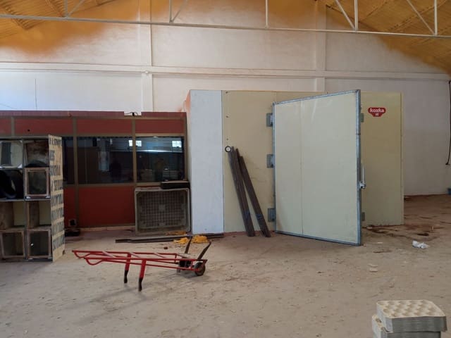 Commercial for sale in Pechina - € 255,000 (Ref: 5978442)