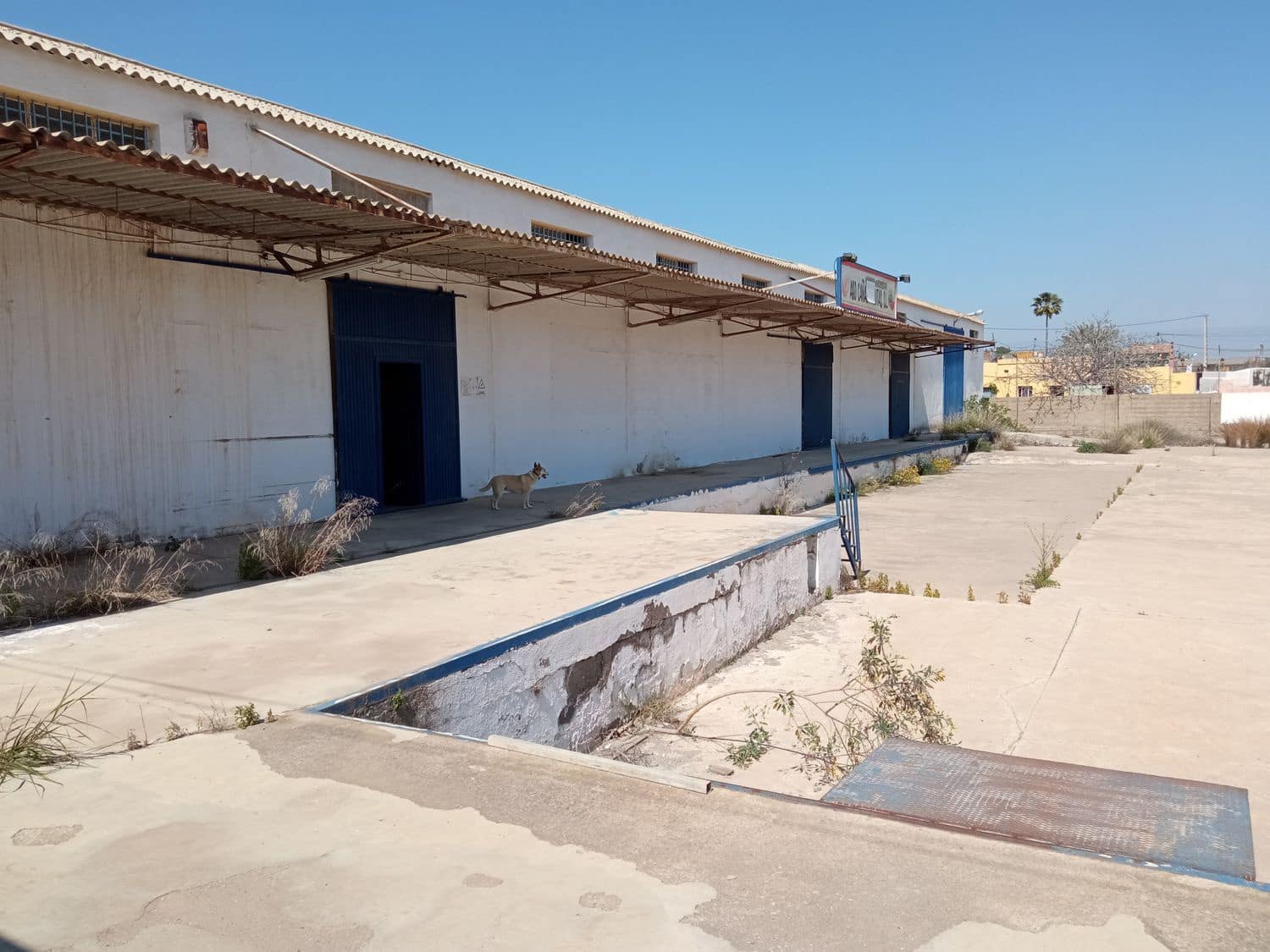 Erhverv til salg i Pechina - € 255.000 (Ref: 5978442)