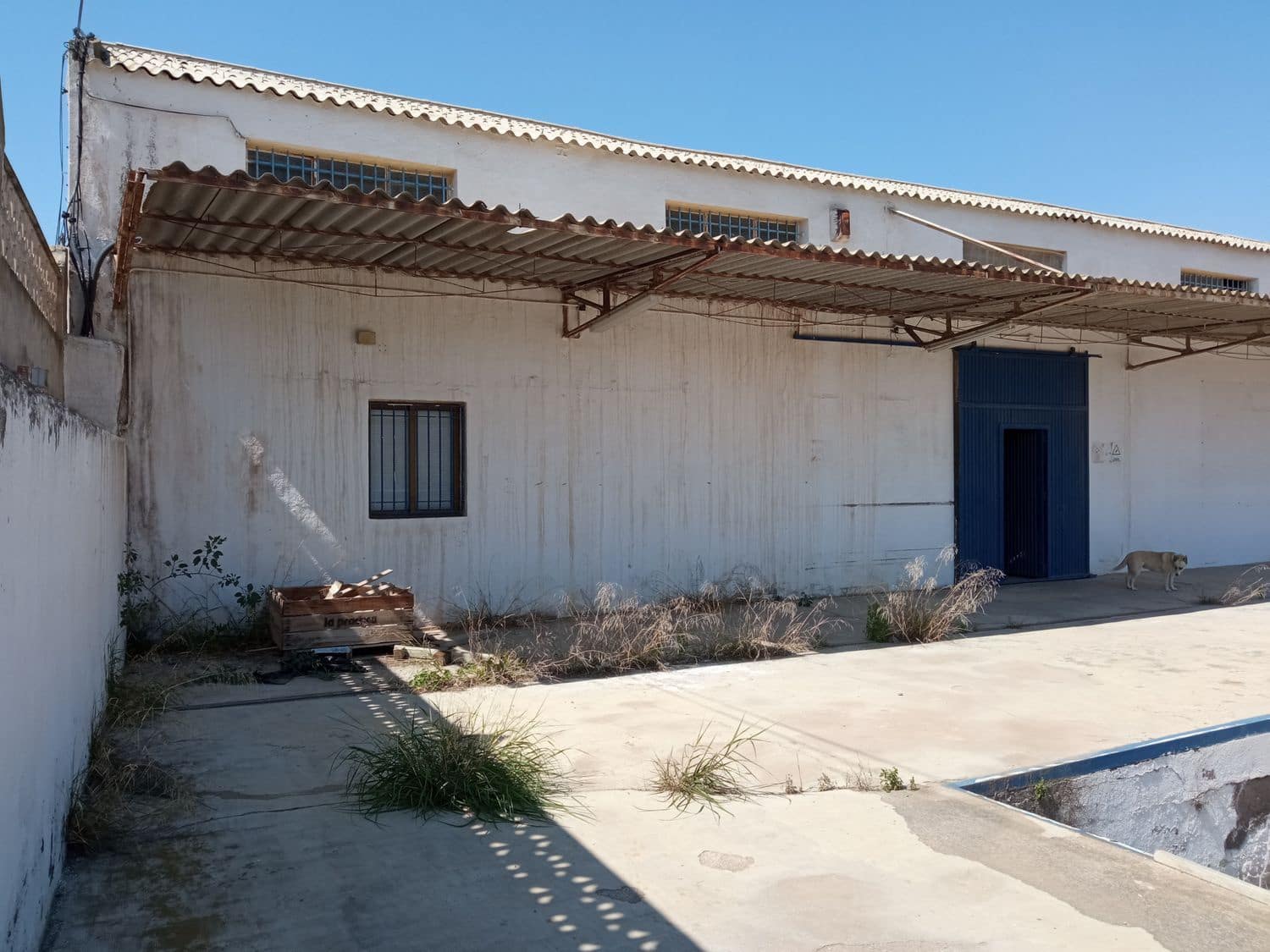 Erhverv til salg i Pechina - € 255.000 (Ref: 5978442)