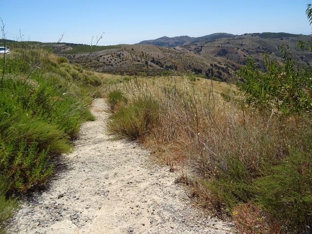 Terreno/Finca Rústica en Murtas en venta - 19.000 € (Ref: 6739622)