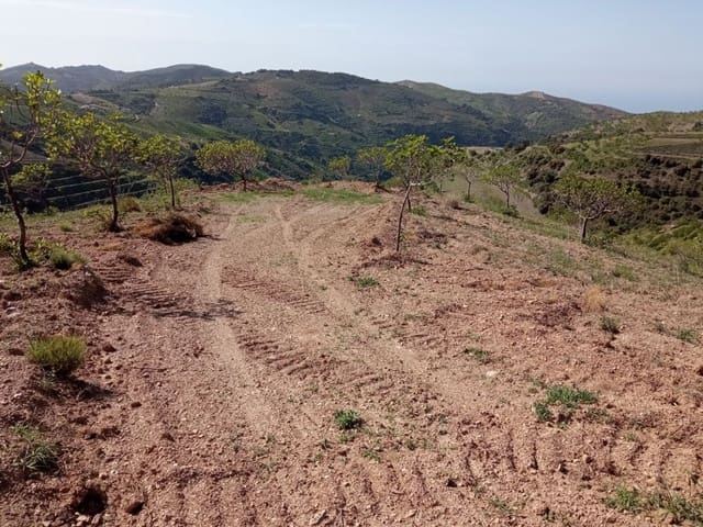 Terreno/Finca Rústica en Murtas en venta - 19.000 € (Ref: 6739622)