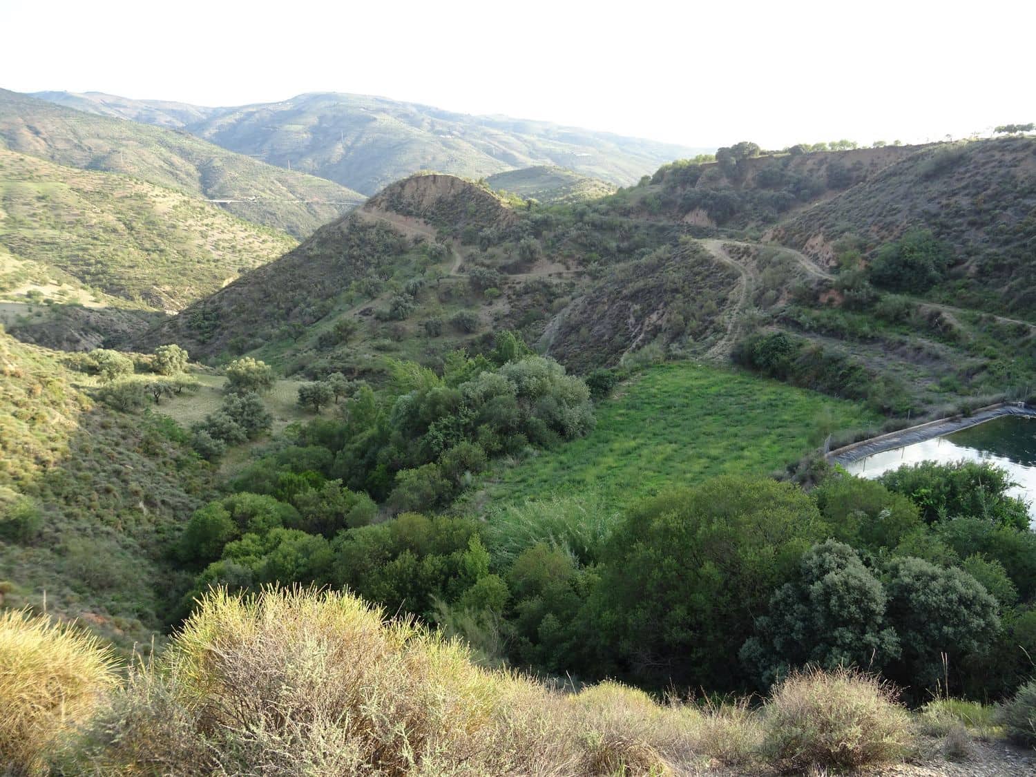 4 soveværelse Finca/Landehus til salg i Lobras - € 295.000 (Ref: 8055671)