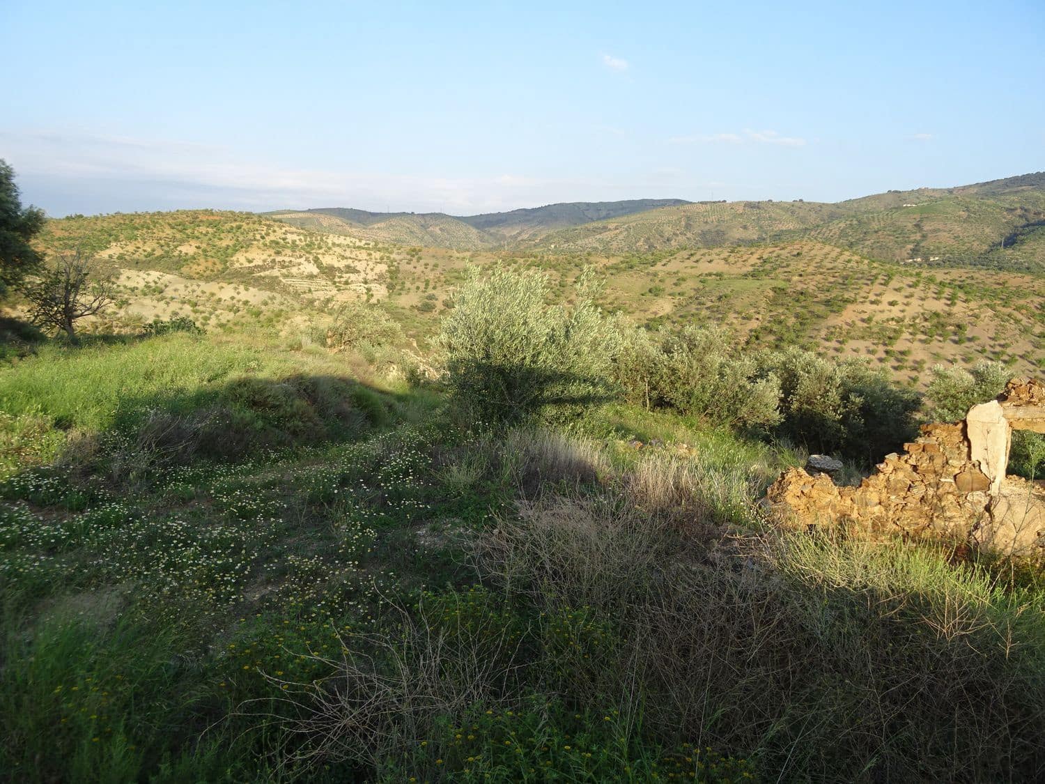 4 soveværelse Finca/Landehus til salg i Lobras - € 295.000 (Ref: 8055671)