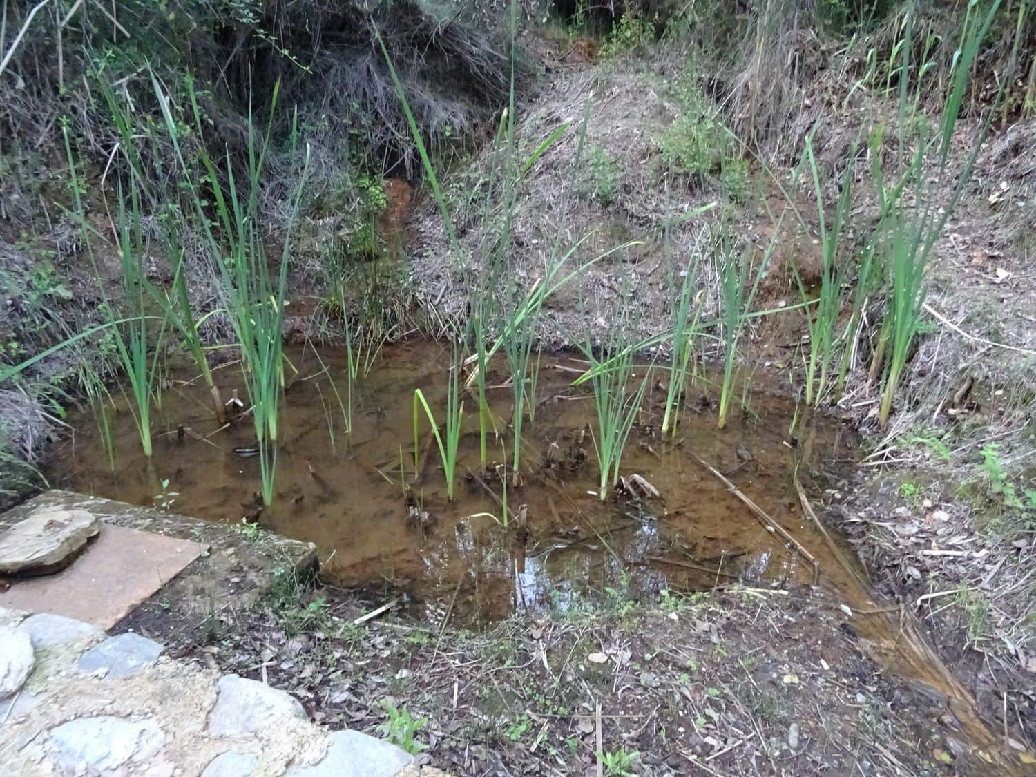 4 soveværelse Finca/Landehus til salg i Lobras - € 295.000 (Ref: 8055671)