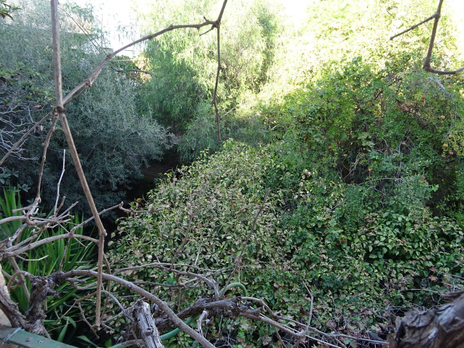 4 soveværelse Byhus til salg i Berja - € 150.000 (Ref: 8055679)