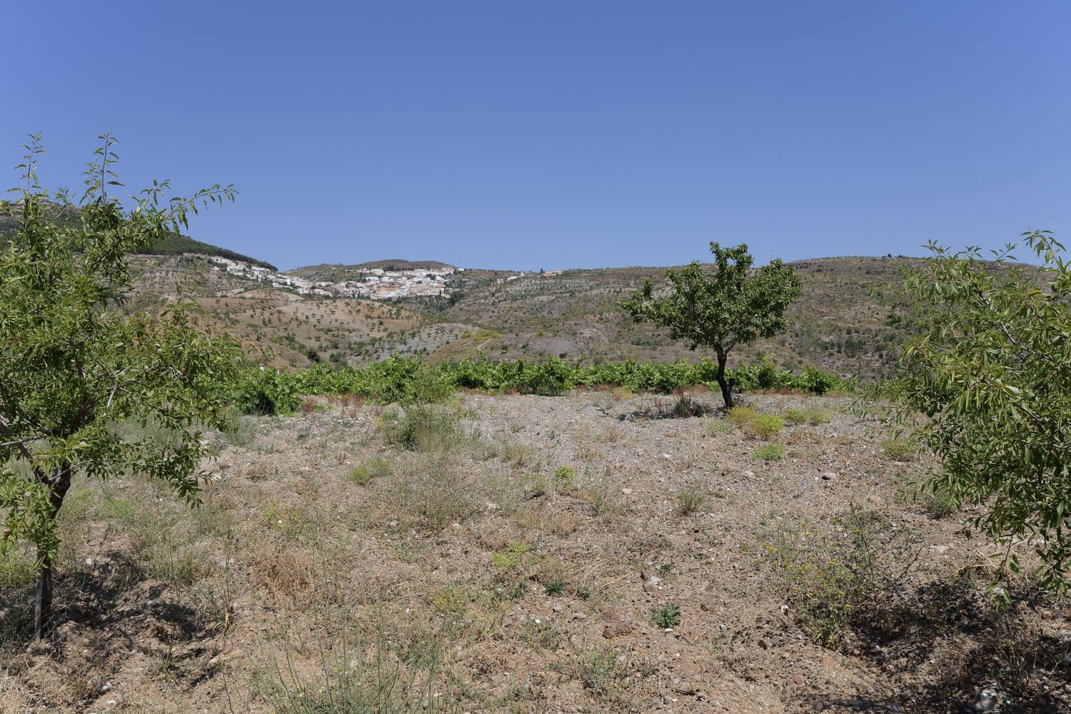 Grunde uden byggetilladelser til salg i Murtas - € 19.000 (Ref: 8344487)