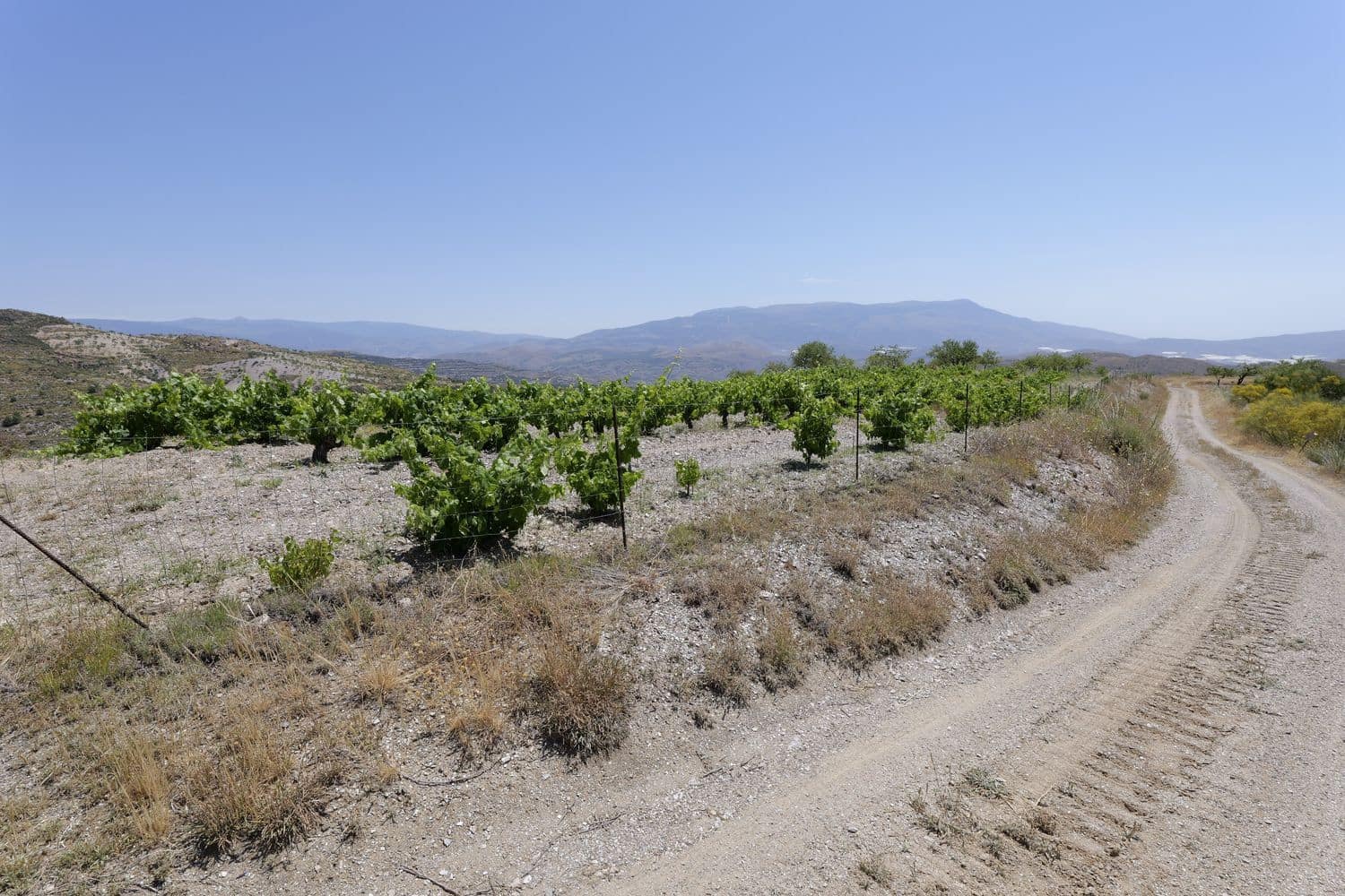 Grunde uden byggetilladelser til salg i Murtas - € 19.000 (Ref: 8344487)