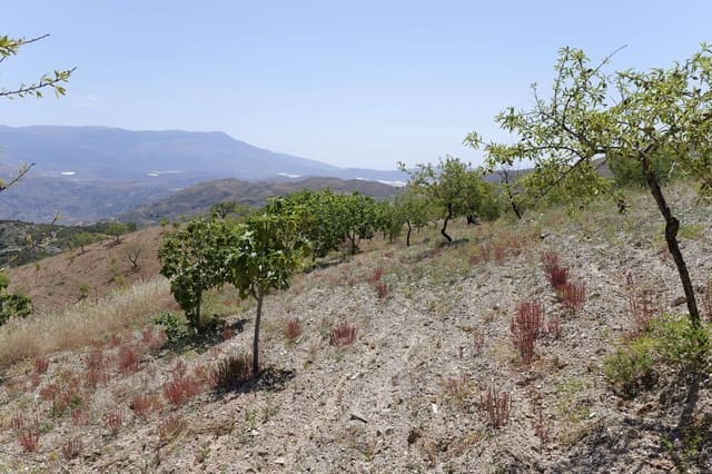 Terreno/Finca Rústica en Murtas en venta - 19.000 € (Ref: 8344487)