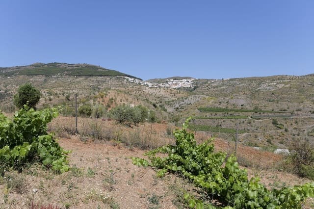 Terreno/Finca Rústica en Murtas en venta - 19.000 € (Ref: 8344487)