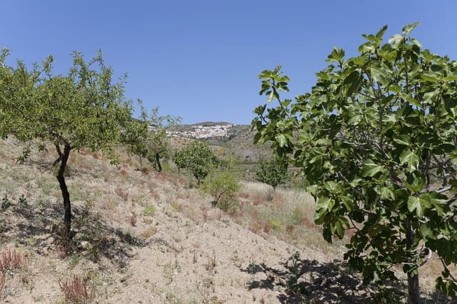 Terreno/Finca Rústica en Murtas en venta - 19.000 € (Ref: 8344487)