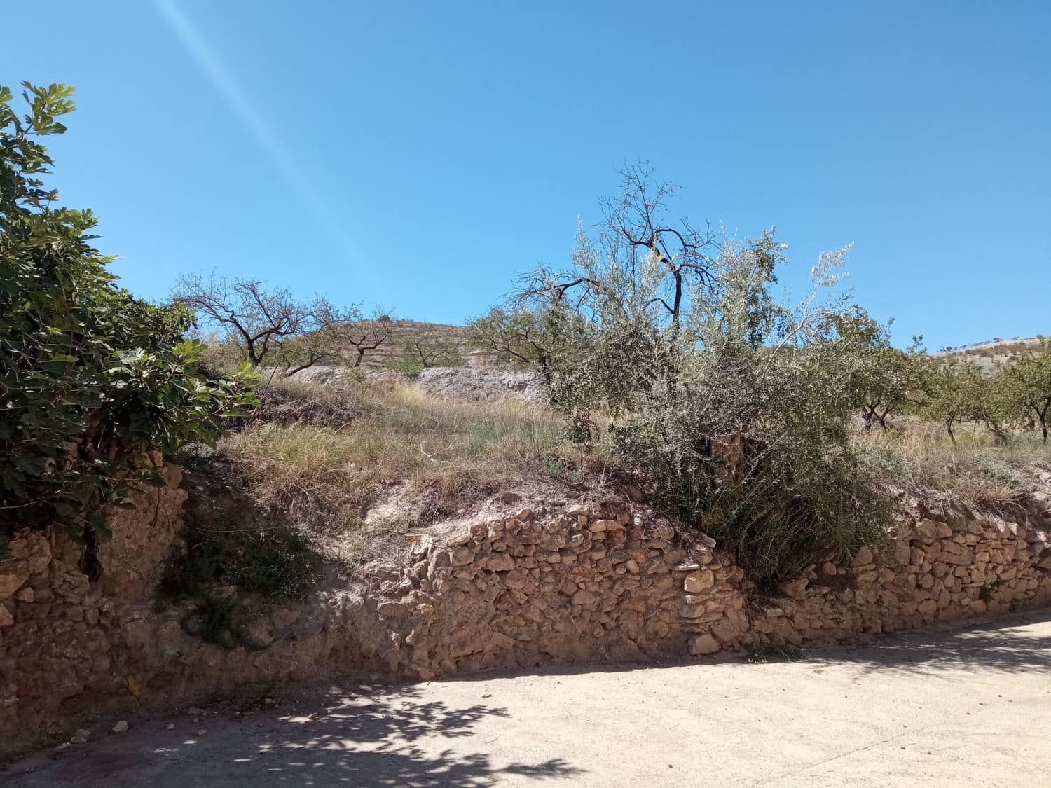 Terreno Non Edificato in vendita in Turon - 11.500 € (Rif: 8404512)