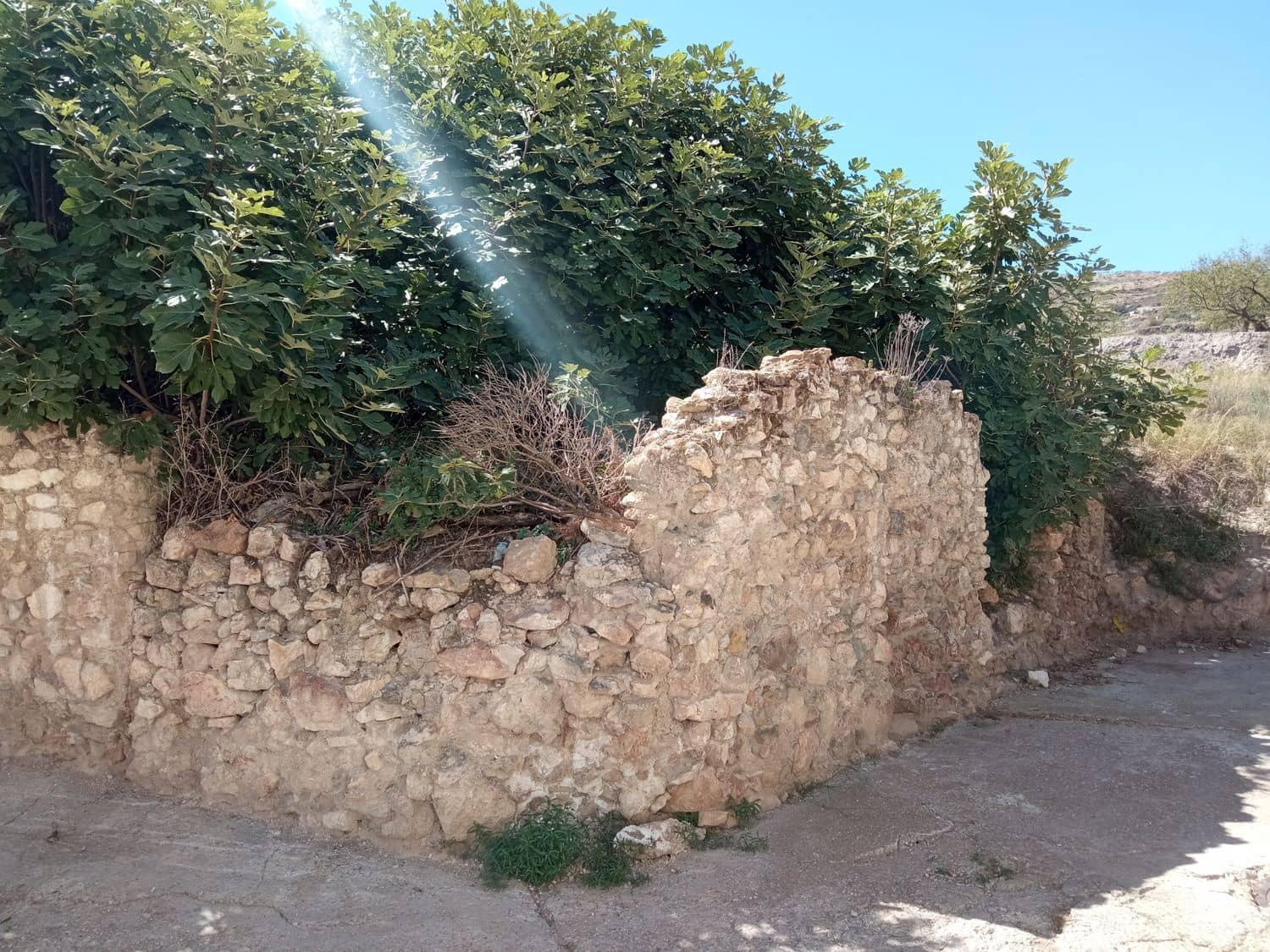 Terreno Non Edificato in vendita in Turon - 11.500 € (Rif: 8404512)