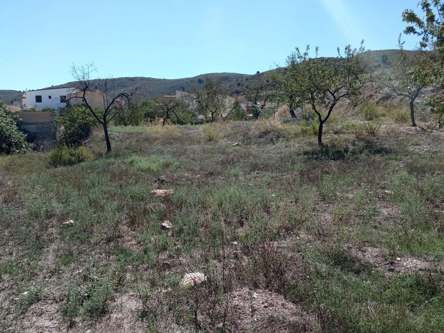 Terreno Non Edificato in vendita in Turon - 11.500 € (Rif: 8404512)