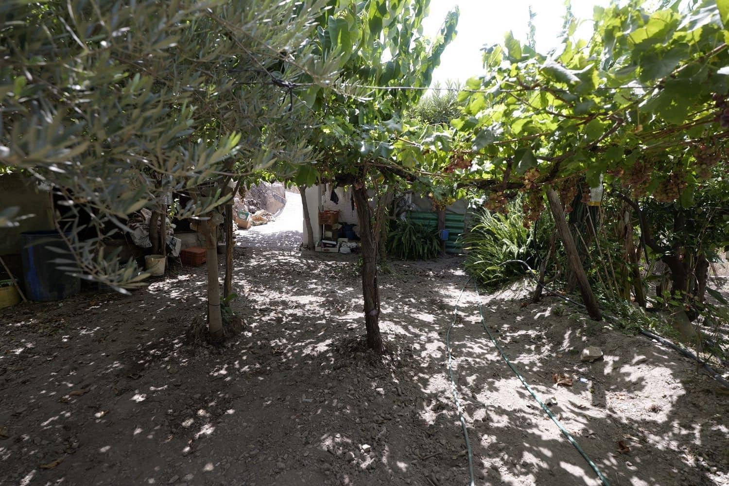 1 soveværelse Finca/Landehus til salg i Berja med garage - € 43.000 (Ref: 8488609)