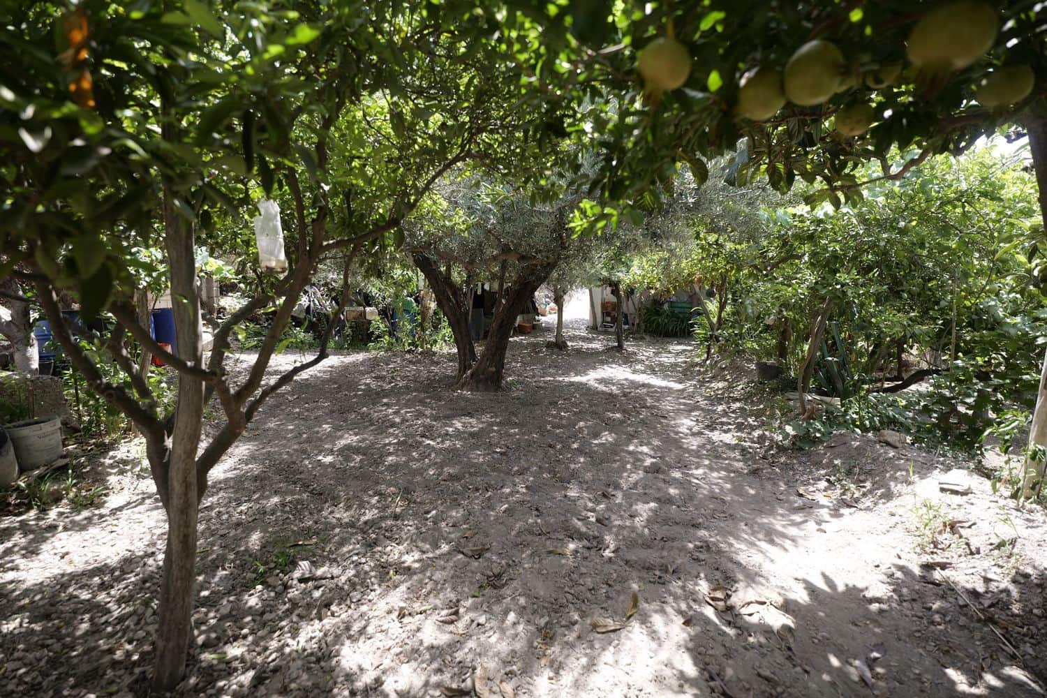 1 soveværelse Finca/Landehus til salg i Berja med garage - € 43.000 (Ref: 8488609)