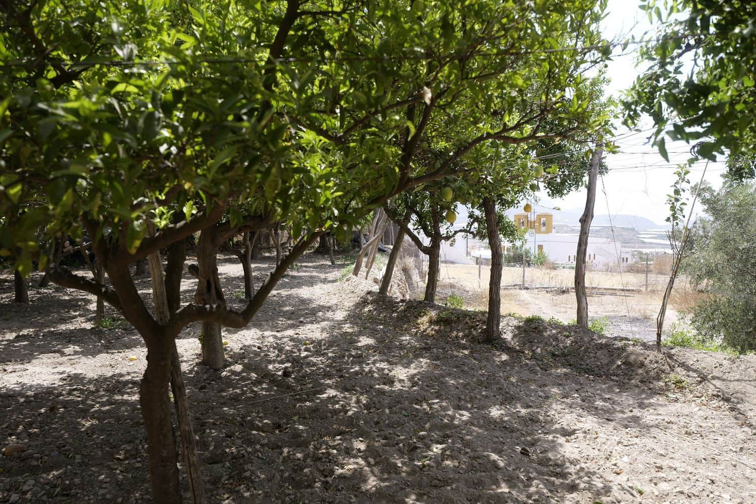 1 soveværelse Finca/Landehus til salg i Berja med garage - € 43.000 (Ref: 8488609)