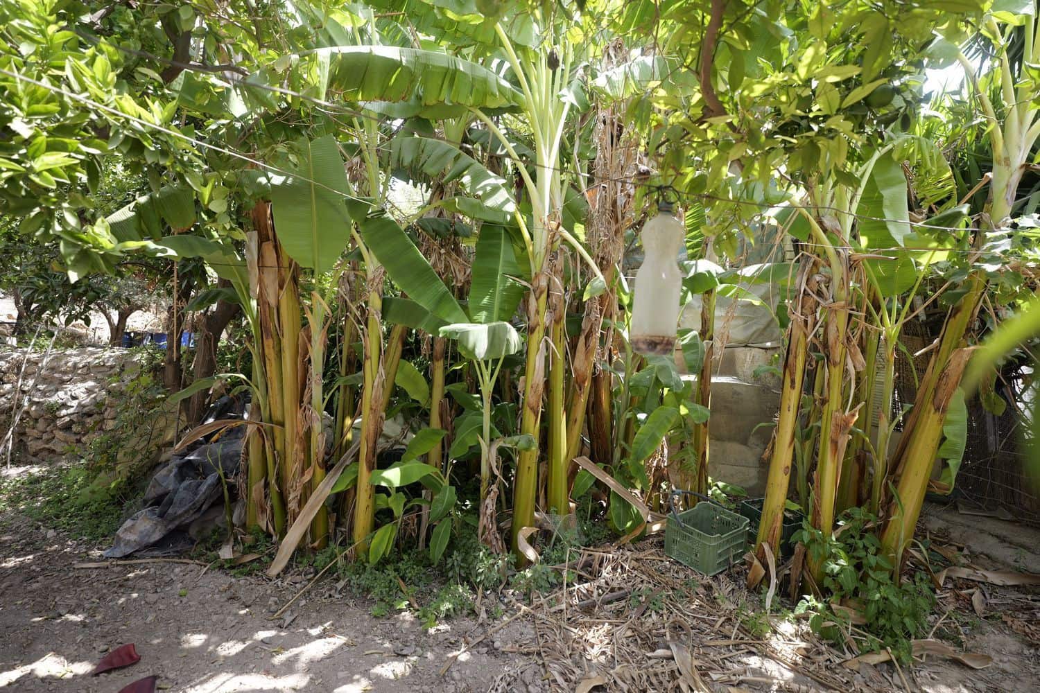 1 soveværelse Finca/Landehus til salg i Berja med garage - € 43.000 (Ref: 8488609)